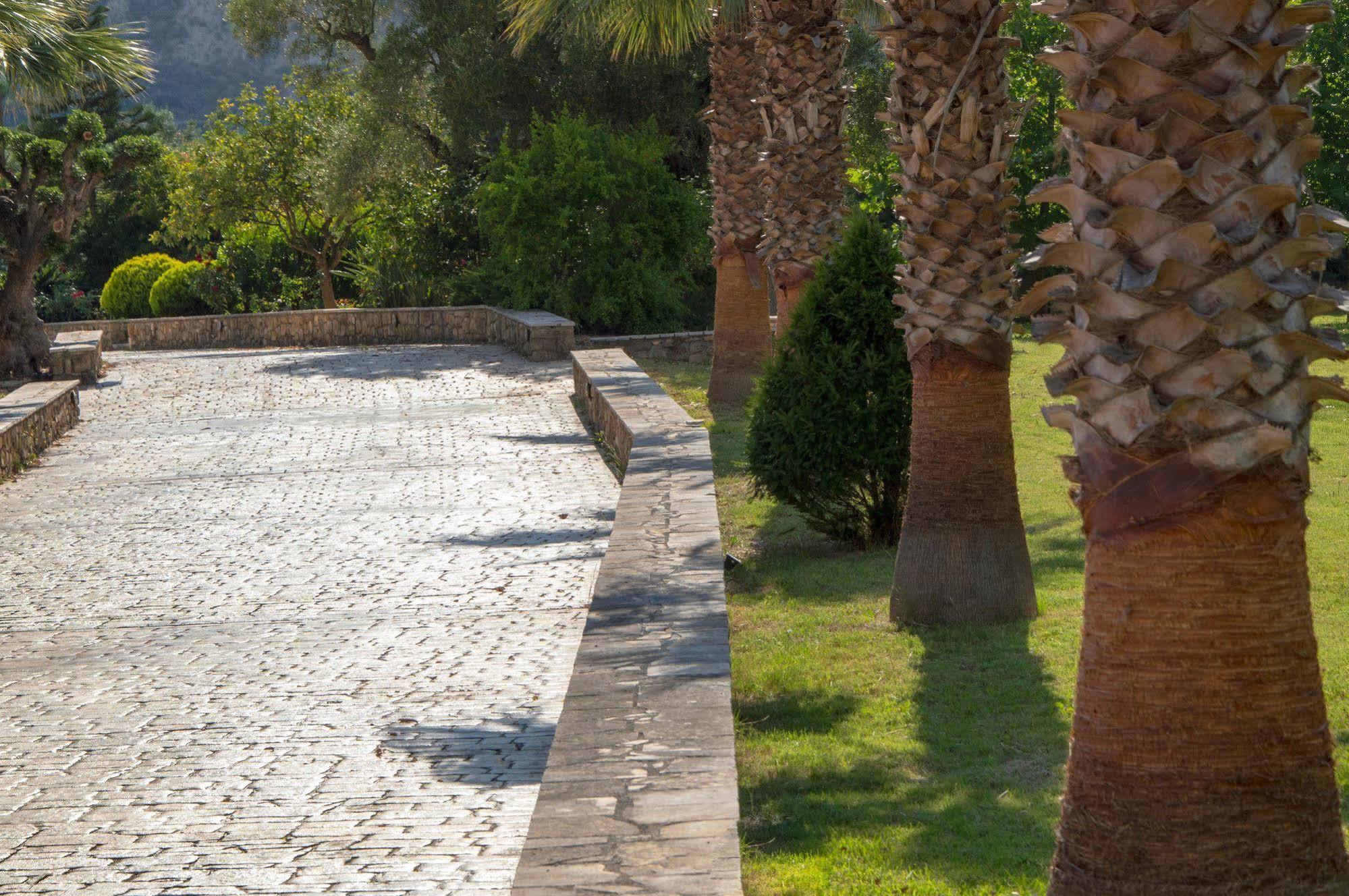 Leone Luxury Villas Kalamaki  Exterior photo