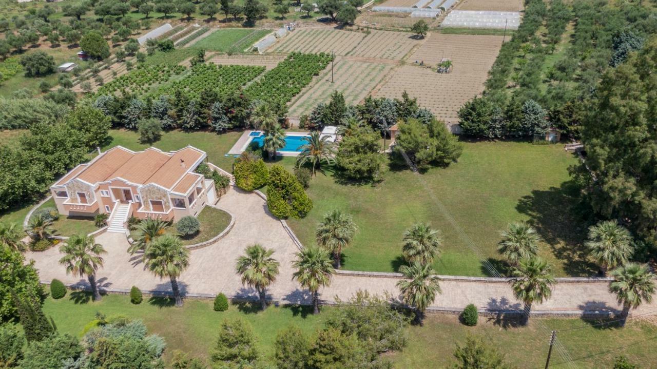 Leone Luxury Villas Kalamaki  Exterior photo